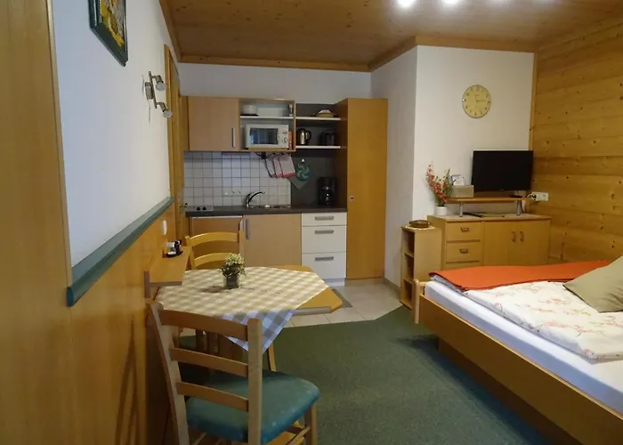 公寓 尼德拉撤公寓 *